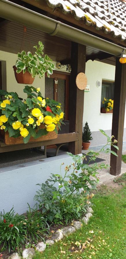 Apartment Sonce Bohinj Exterior foto